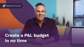 Create a P&amp;L budget in no time